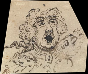 Grotesk vrouwelijk hoofd